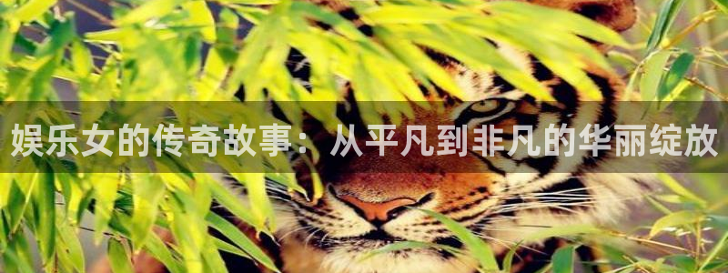 众腾娱乐：娱乐女的传奇故事：从平凡到非凡的华丽绽放