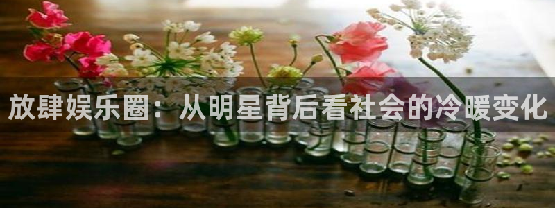 众腾娱乐：放肆娱乐圈：从明星背后看社会的冷暖变化