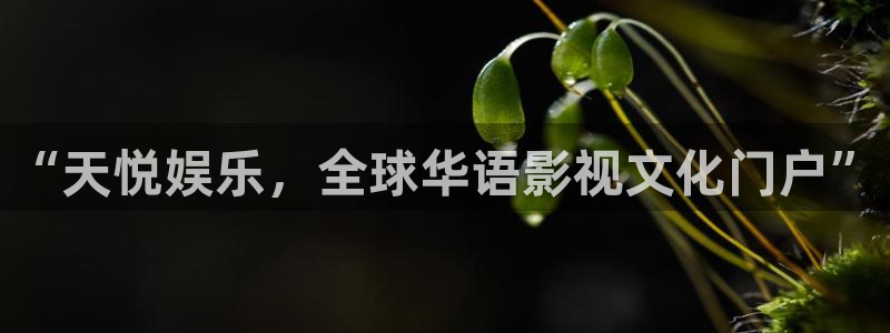 众腾娱乐：“天悦娱乐，全球华语影视文化门户”