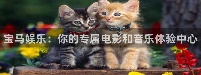 众腾娱乐：宝马娱乐：你的专属电影和音乐体验中心