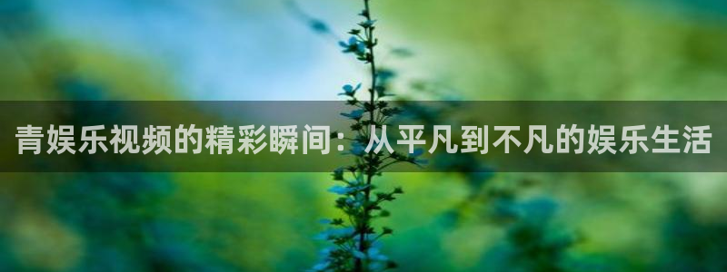 众腾娱乐：青娱乐视频的精彩瞬间：从平凡到不凡的娱乐生活