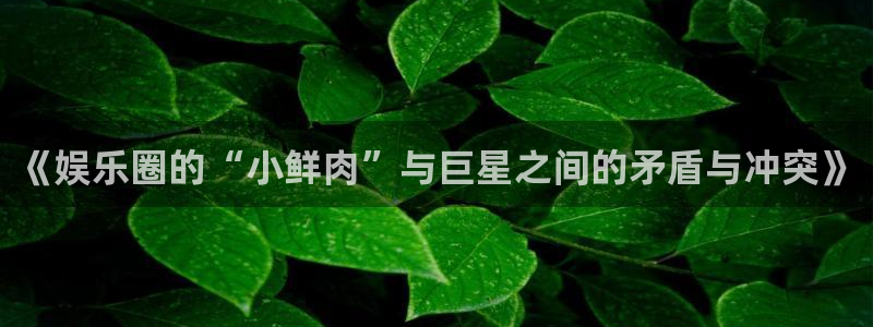 众腾娱乐：《娱乐圈的“小鲜肉”与巨星之间的矛盾与冲突》