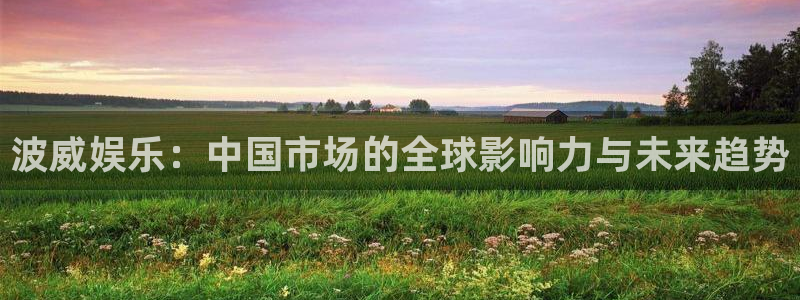 众腾娱乐：波威娱乐：中国市场的全球影响力与未来趋势