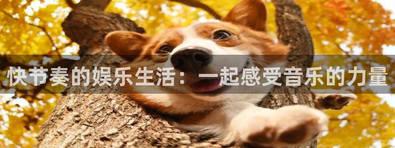 众腾娱乐：快节奏的娱乐生活：一起感受音乐的力量