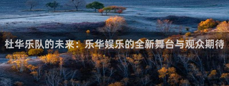 众腾娱乐：杜华乐队的未来：乐华娱乐的全新舞台与观众期待