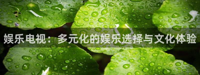 众腾娱乐：娱乐电视：多元化的娱乐选择与文化体验